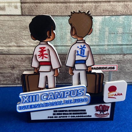 Trofeos deportivos competición Judo